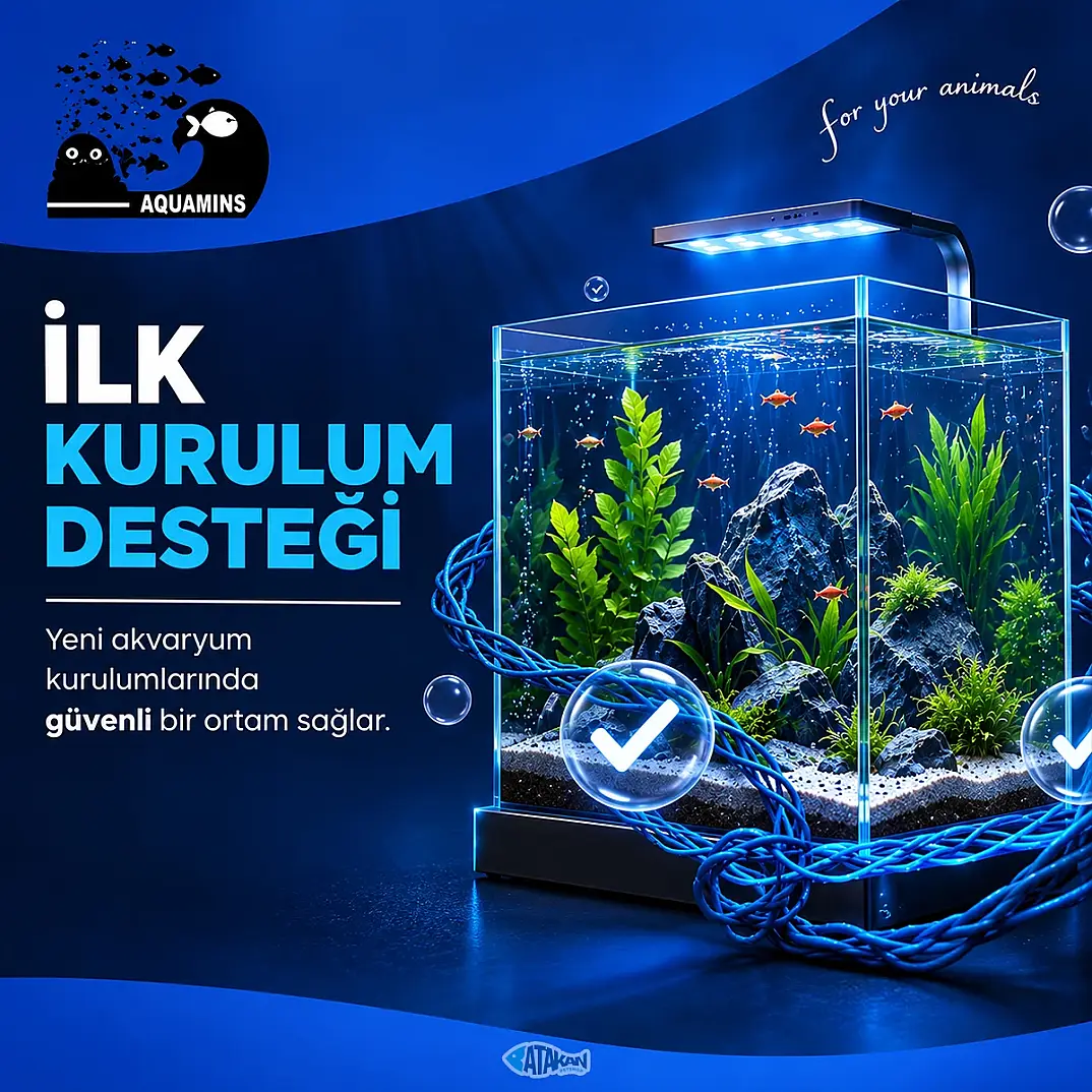 Amonyak Giderici 100 ML - 2