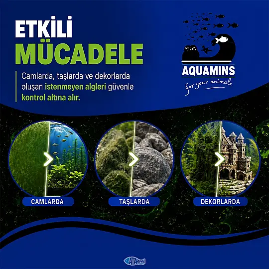 Anti Algae Yosun Giderici 100 ML - 2