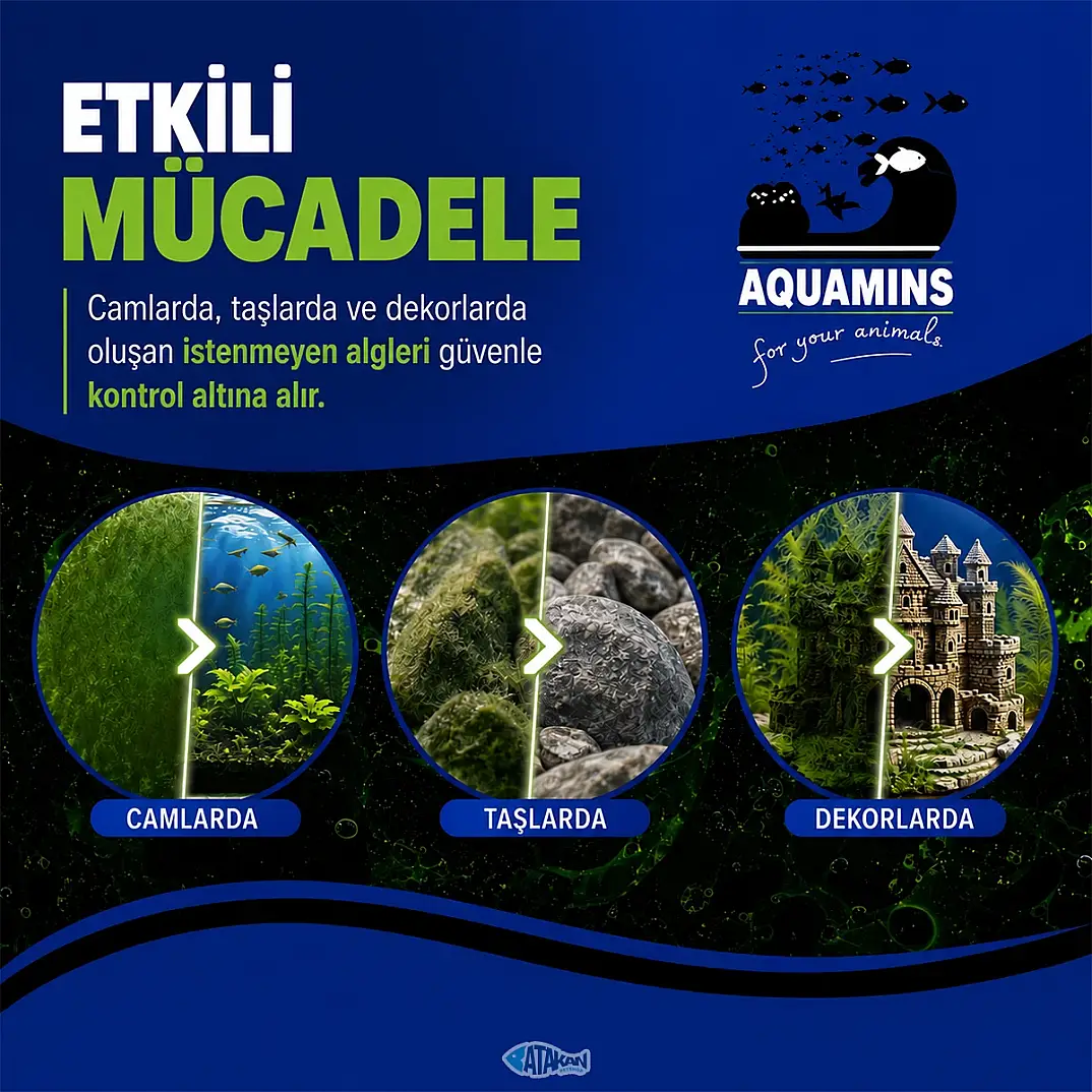 Anti Algae Yosun Giderici 100 ML - 2