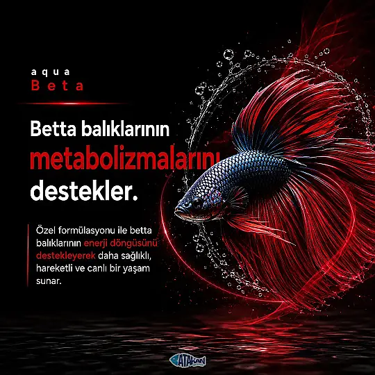 Beta Mineral Düzenleyicisi 100 ML - 2