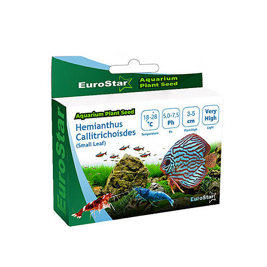 EuroStar Bitki Tohum Medium Leaf Base Blant