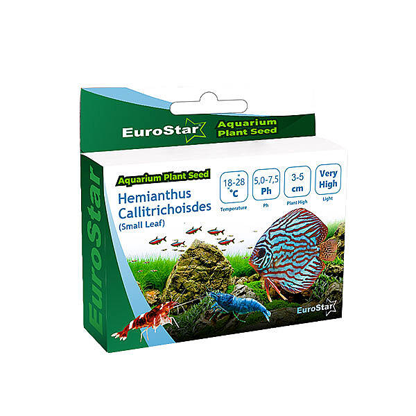 EuroStar Bitki Tohum Medium Leaf Base Blant - 1