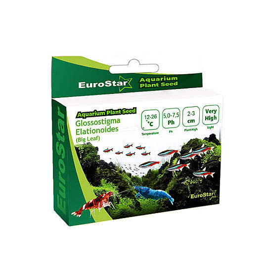 EuroStar Bitki Tohumu Small Leaf Base Plant