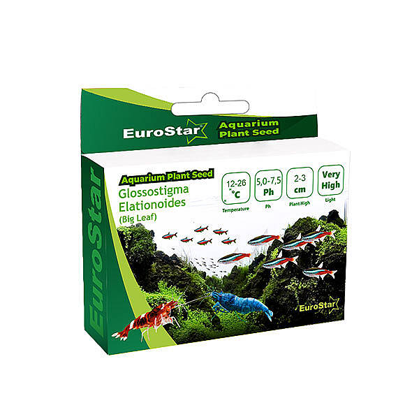 EuroStar Bitki Tohumu Small Leaf Base Plant - 1