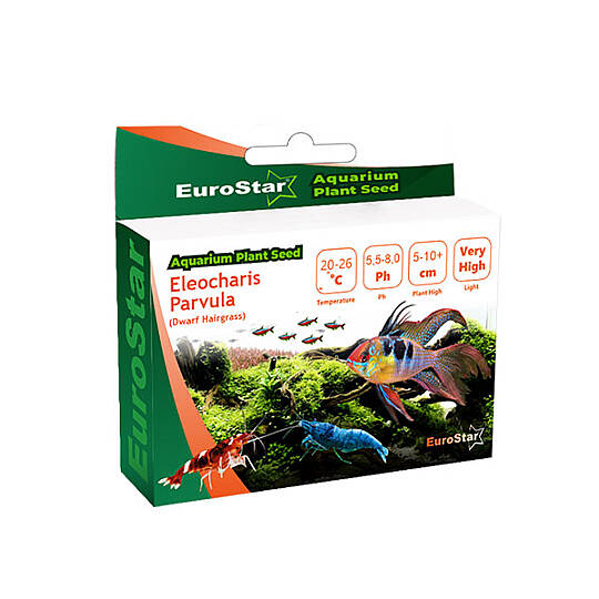 EuroStar Large Leaf Base Plant