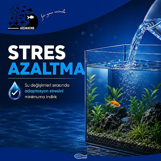 H2O Su Düzenleyicisi 100 ML - 3