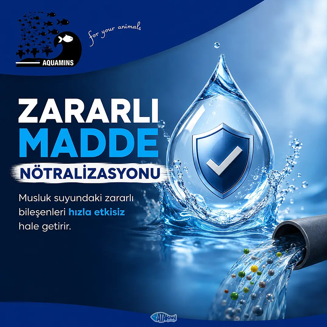 H2O Su Düzenleyicisi 100 ML - 2