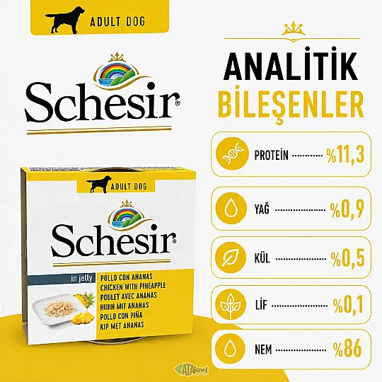 Jelly Tavuk ve Ananas Jöle İçinde Yetişkin Köpek Konservesi 150 GR - 3