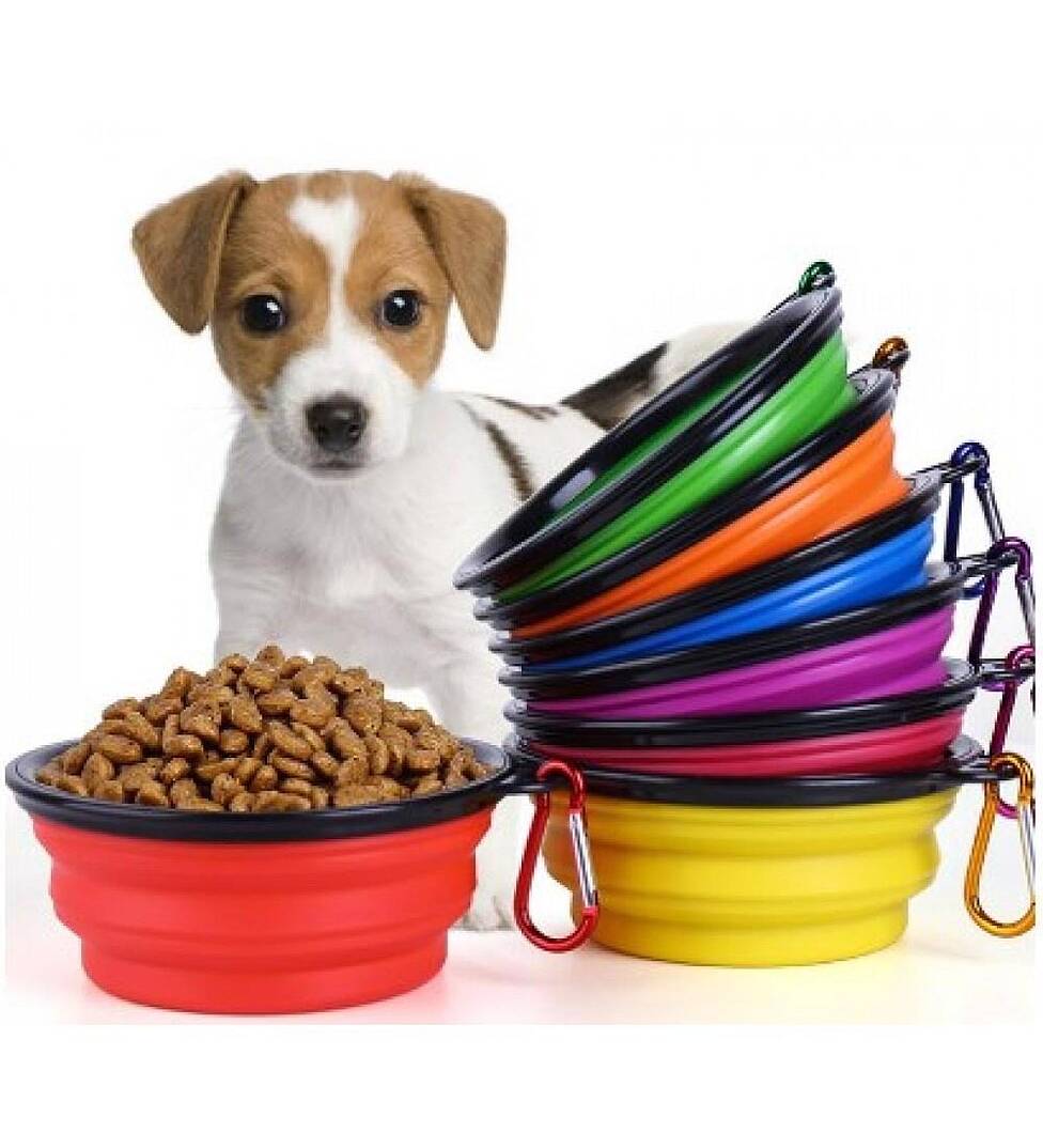 Katlanabilir Kedi Ve Köpek Mama Su Kabı - 1
