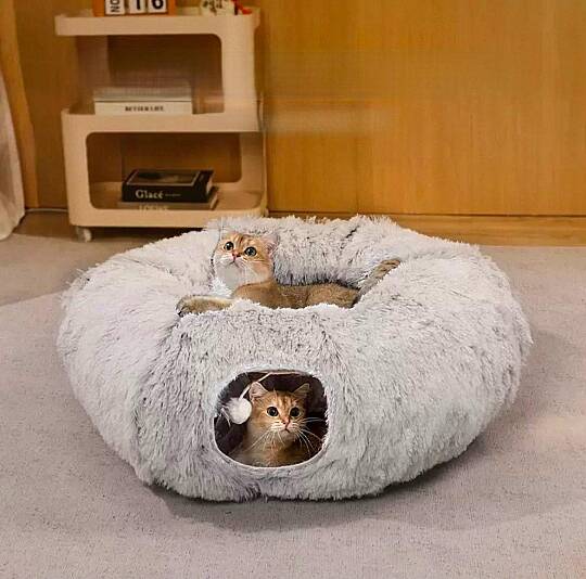 Kedi Yatağı Tünel Oyun Alanı