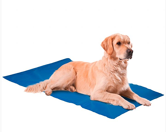Köpek Soğutucu Yatak XXL 50x90 CM
