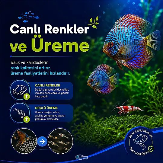 Minerals Plus Mineral Düzenleyicisi 100 ML - 2