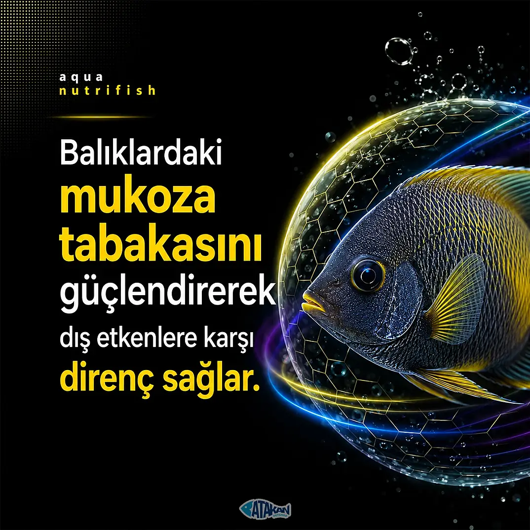 Nutrifish Su Düzenleyici Balık İlacı 30 ML - 4