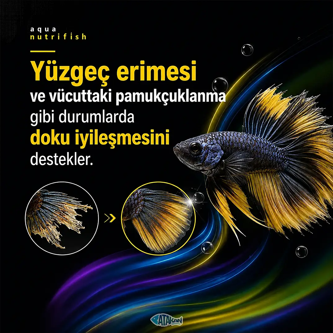 Nutrifish Su Düzenleyici Balık İlacı 30 ML - 2