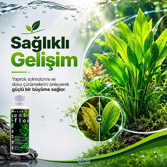 Potasflow Bitki Gübresi 100 ML - 2