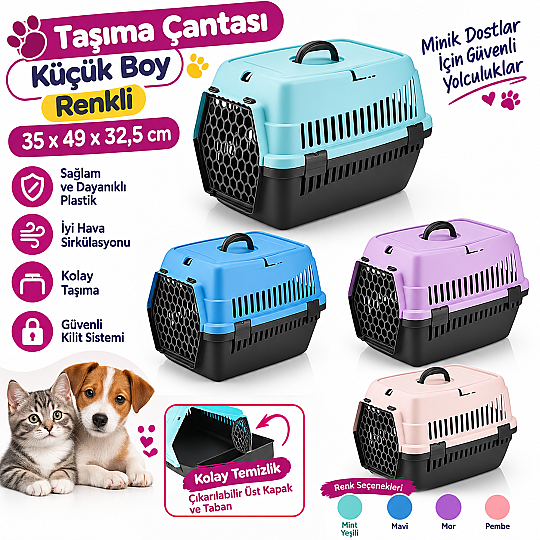 Taşıma Çantası Renkli Küçük Boy 10 Adet