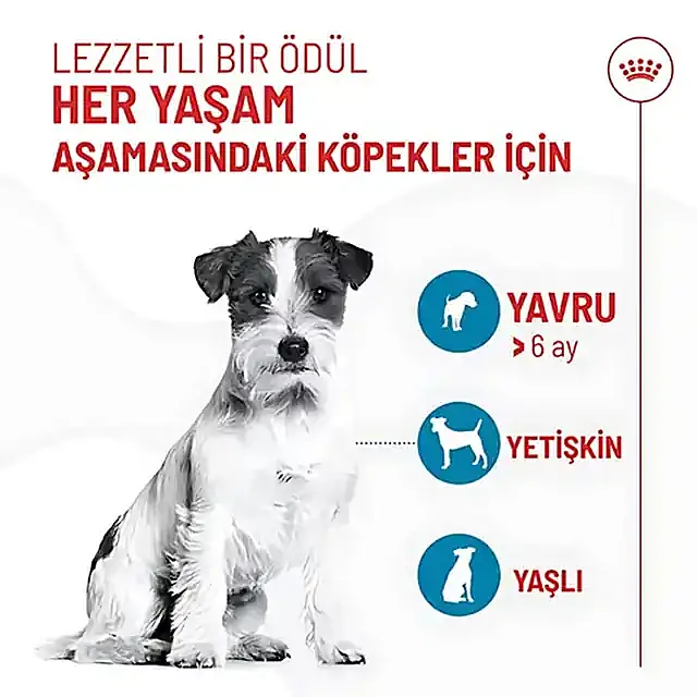 Yavru Köpek Ödül Maması 110 GR - 3